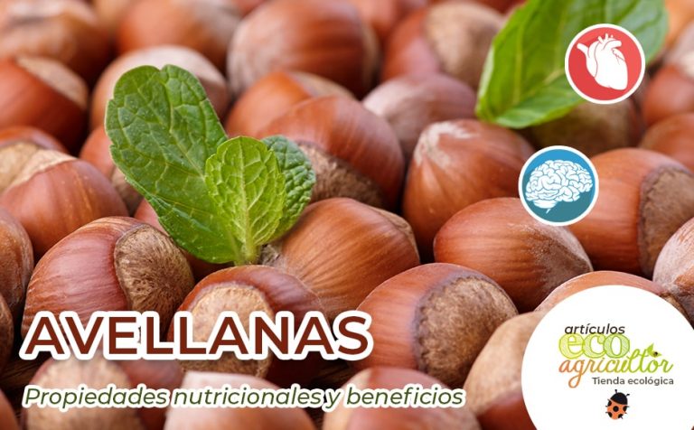 Avellanas Beneficios Y Propiedades Nutricionales Ecoagricultor